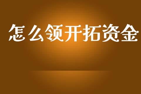 怎么领开拓资金_https://wap.kuaijiepai.net_金融科技_第1张