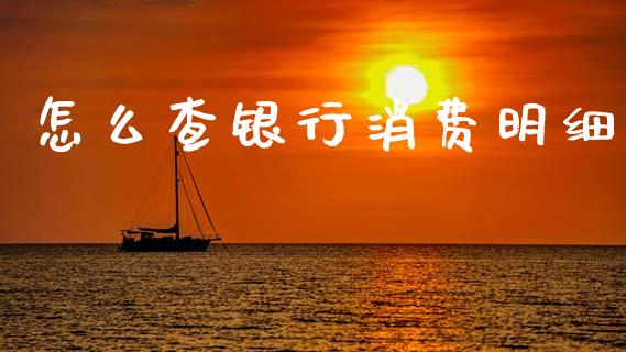 怎么查银行消费明细_https://wap.kuaijiepai.net_财务咨询_第1张