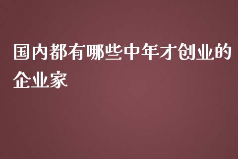 国内都有哪些中年才创业的企业家_https://wap.kuaijiepai.net_财务咨询_第1张