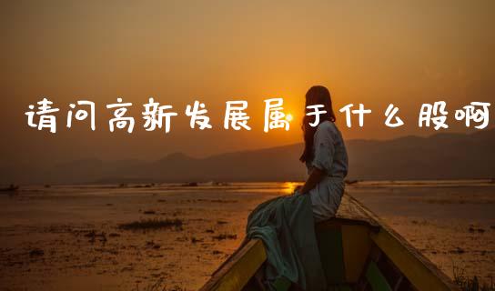请问高新发展属于什么股啊_https://wap.kuaijiepai.net_金融科技_第1张