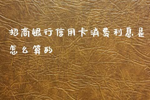 招商银行信用卡消费利息是怎么算的_https://wap.kuaijiepai.net_金融科技_第1张