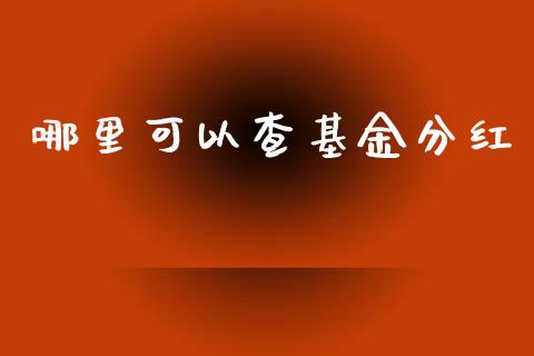 哪里可以查基金分红_https://wap.kuaijiepai.net_财务风控_第1张