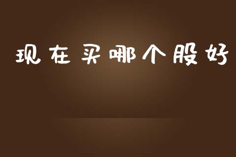 现在买哪个股好_https://wap.kuaijiepai.net_金融科技_第1张
