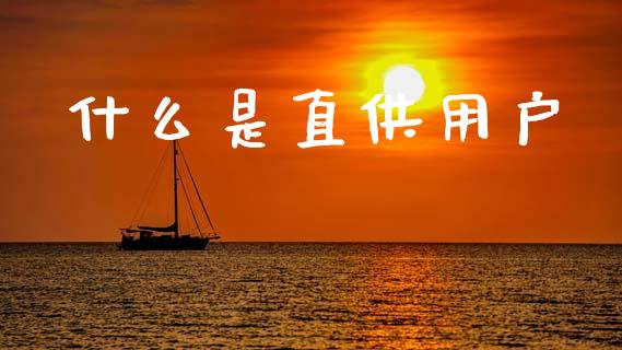 什么是直供用户_https://wap.kuaijiepai.net_金融科技_第1张