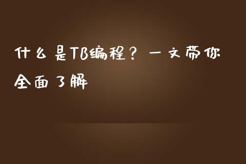 什么是TB编程？一文带你全面了解_https://wap.kuaijiepai.net_金融科技_第1张