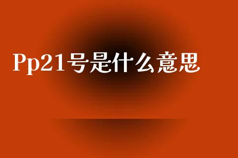Pp21号是什么意思_https://wap.kuaijiepai.net_财务咨询_第1张
