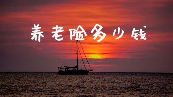 养老险多少钱_https://wap.kuaijiepai.net_金融科技_第1张