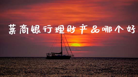 莱商银行理财产品哪个好_https://wap.kuaijiepai.net_财务风控_第1张