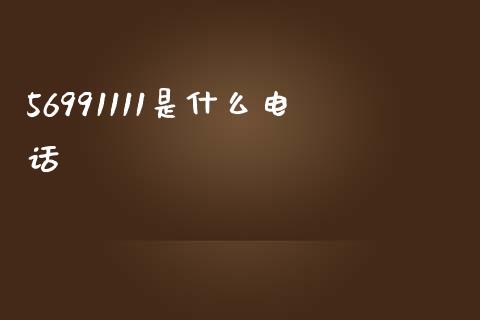 56991111是什么电话_https://wap.kuaijiepai.net_财务风控_第1张