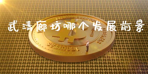 武清廊坊哪个发展前景_https://wap.kuaijiepai.net_财务咨询_第1张