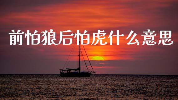 前怕狼后怕虎什么意思_https://wap.kuaijiepai.net_金融科技_第1张