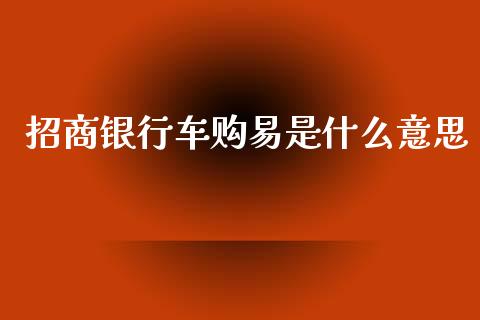 招商银行车购易是什么意思_https://wap.kuaijiepai.net_财务风控_第1张