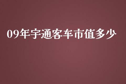 09年宇通客车市值多少_https://wap.kuaijiepai.net_外汇交易_第1张