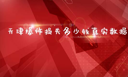 天津爆炸损失多少钱真实数据_https://wap.kuaijiepai.net_财务风控_第1张
