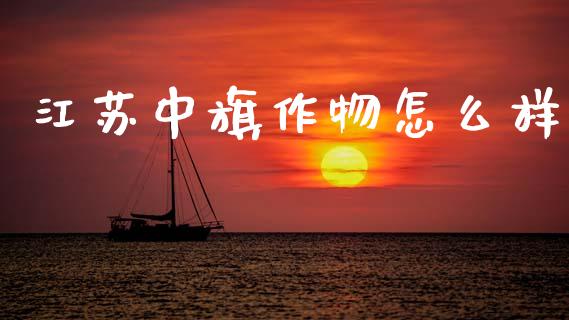 江苏中旗作物怎么样_https://wap.kuaijiepai.net_金融科技_第1张
