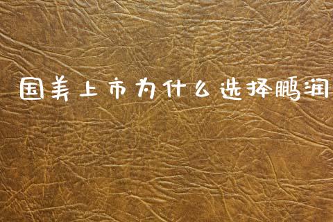 国美上市为什么选择鹏润_https://wap.kuaijiepai.net_外汇交易_第1张