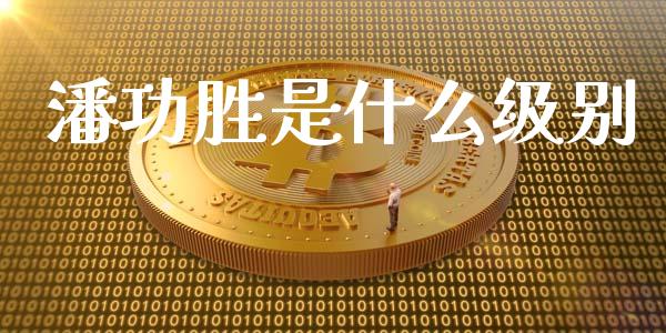 潘功胜是什么级别_https://wap.kuaijiepai.net_金融科技_第1张