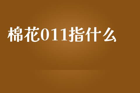棉花011指什么_https://wap.kuaijiepai.net_财务风控_第1张