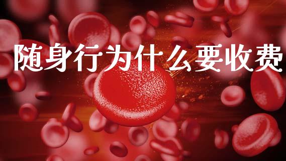 随身行为什么要收费_https://wap.kuaijiepai.net_财务风控_第1张