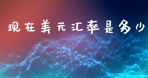 现在美元汇率是多少_https://wap.kuaijiepai.net_财务咨询_第1张
