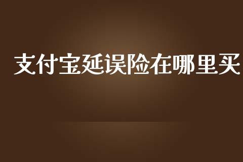 支付宝延误险在哪里买_https://wap.kuaijiepai.net_外汇交易_第1张
