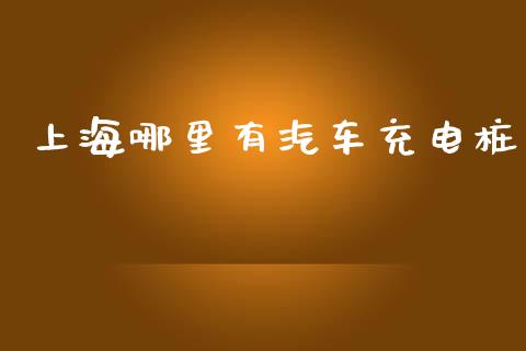 上海哪里有汽车充电桩_https://wap.kuaijiepai.net_金融科技_第1张